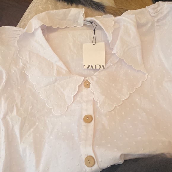 Zara Dotted Mesh Mini Dress - Picture 6 of 6